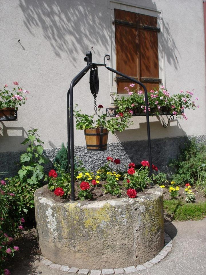 Gite le piémont des Vosges Stotzheim Exterior foto
