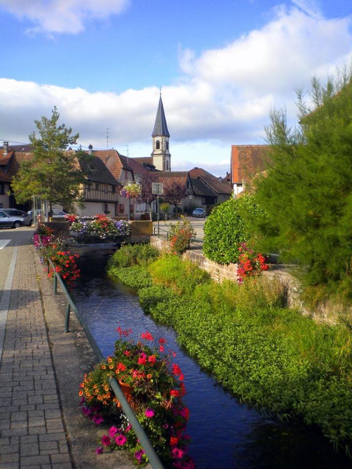 Gite le piémont des Vosges Stotzheim Exterior foto