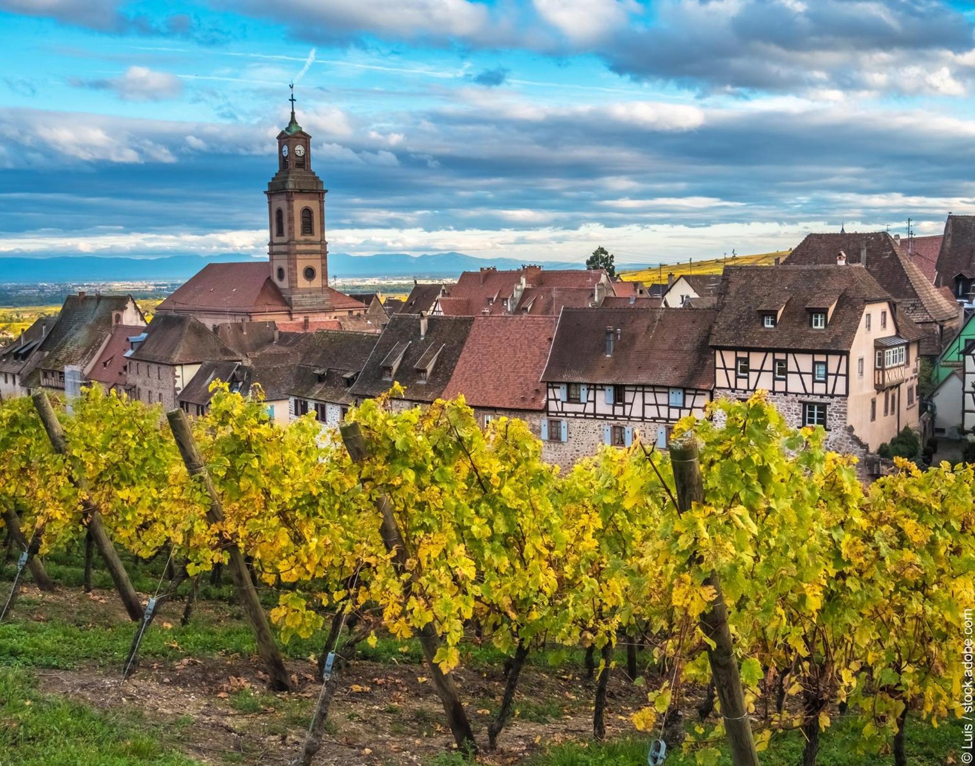 Gite le piémont des Vosges Stotzheim Exterior foto