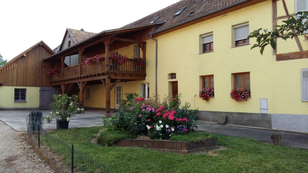 Gite le piémont des Vosges Stotzheim Exterior foto