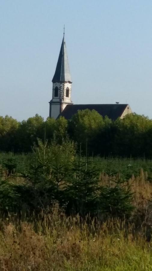 Gite le piémont des Vosges Stotzheim Exterior foto